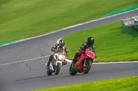 brands-hatch-photographs;brands-no-limits-trackday;cadwell-trackday-photographs;enduro-digital-images;event-digital-images;eventdigitalimages;no-limits-trackdays;peter-wileman-photography;racing-digital-images;trackday-digital-images;trackday-photos